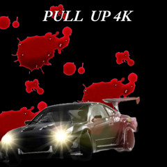 PULL UP 4K