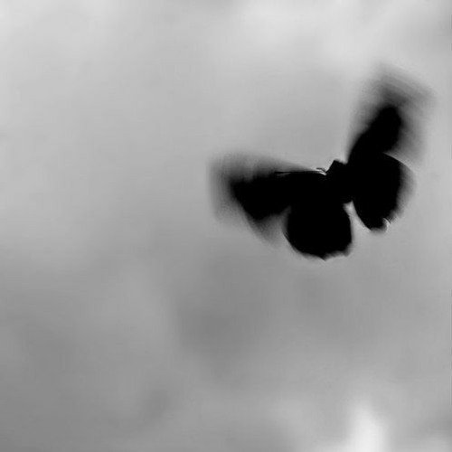 Minor (Dark Orchestral Beat)