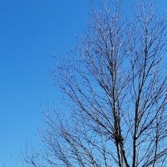 Another New Day mp3.mp3