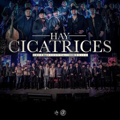 Hay Cicatrices (En Vivo)