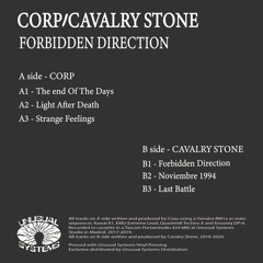 B1 Cavalry Stone - Forbidden Direction