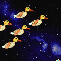 Canard boiteux @Nito&Aubinch, 07.2022