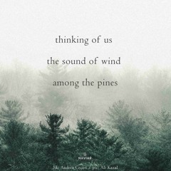 Among the pines (naviarhaiku600)