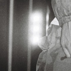 Maxta Locked In (Chedda Bred Refix)