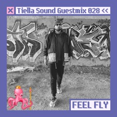 Tiella Sound Guestmix #28: Feel Fly