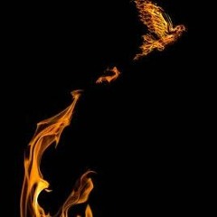 moh baretta - doves on fire (prod. pentagrvm)