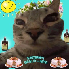 Sommarkatt-Lov1 (Gavelin Remix)