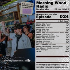 DENIAL Mix for Morningwood Radio 8/2026 (music only)