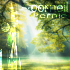 Corneil sans Bernie... (xantosbeatz) #h$m