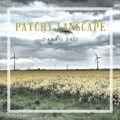 Patchy Landscape