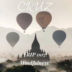 TRIP 007 Mindfullness
