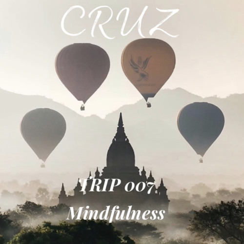 TRIP 007 Mindfullness