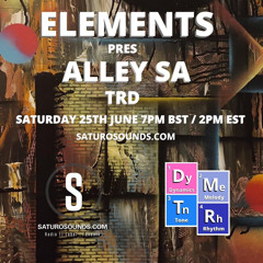 Elements 0018 Guest Mix Alley SA