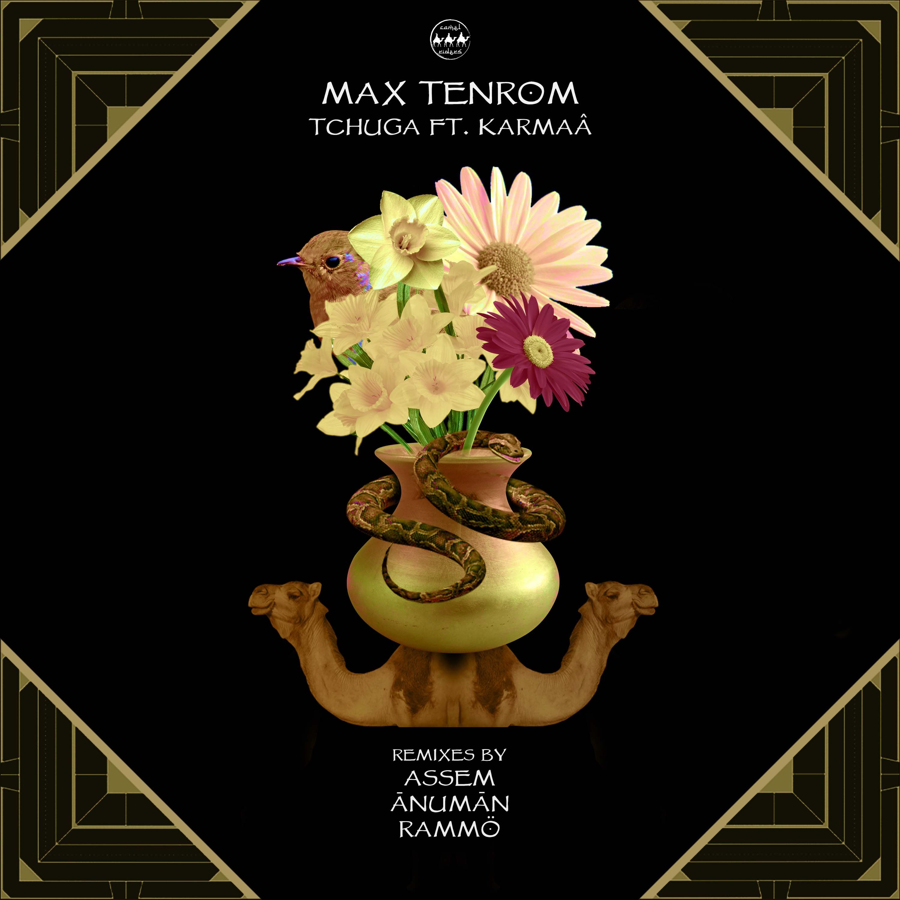 Daxistin Max Tenrom, Karmaâ - Tchuga (Original Mix)