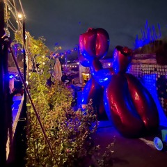 @ Klunkerkranich, 2024