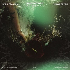 Stina Francina - Liminal Dream [NTNS001] (previews)