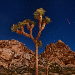 Rufus du Sol (Joshua Tree) x Crazy Frog x Makeba - Perfect House Set Intro In the Desert