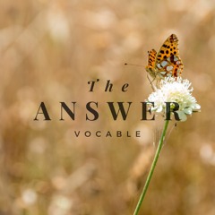 Vocable - The Answer