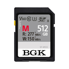 BGK MIX JAN 9.wav