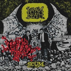 Napalm Death - You Suffer (Cover).mp3