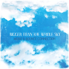 Taylor Swift - You Were Bigger Than the Whole Sky (Merki & Bounce Connection Remix)