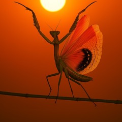 05 Big Orange Sun
