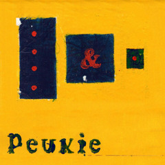 pinegrove - need 2 (PEUKIE JERK REMIX)