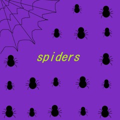 spiders