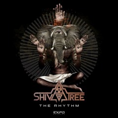 The Rhythm (Original Mix)