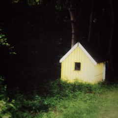 fade into you - mazzy star cover