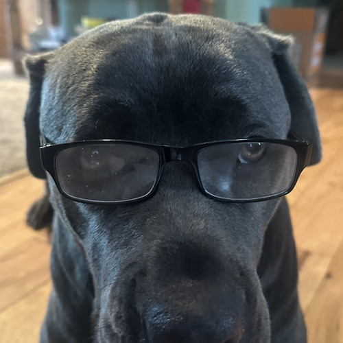 If I were you I’d hate me too