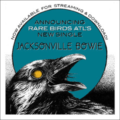 Jacksonville Bowie - Rare Birds 16bit 4.03minutes