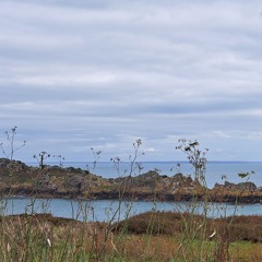 ꩜ in january, minuteuf fell in love with... ꩜