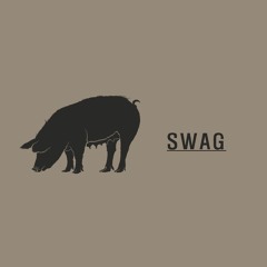 돼지 SWAG (with 벽돌(Brick), 창케이(ChangK))