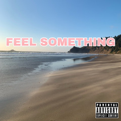 FEEL SOMETHING