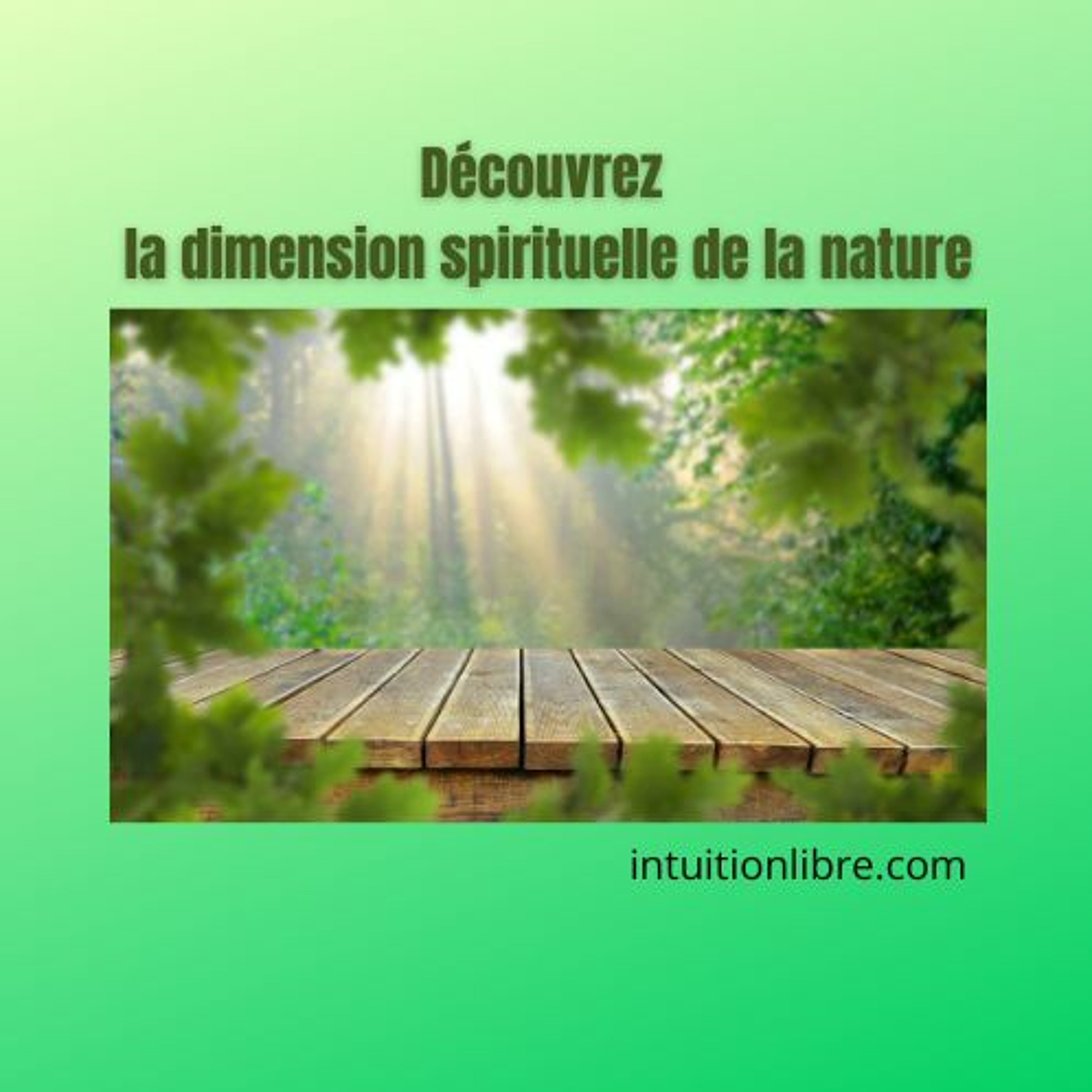 Découvrez la dimension spirituelle de la nature