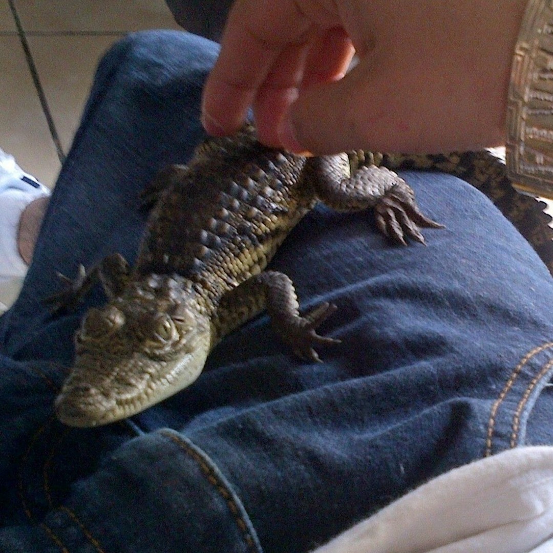 Stream Comandante Ricky by YUNG PRIETO | Listen online for free on ...