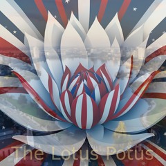 The Lotus Potus (Radio Edit)