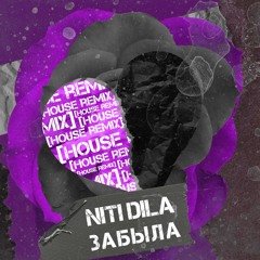 NITI DILA - Забыла (House Remix)