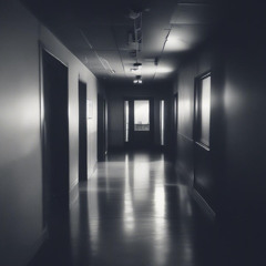 Echoes Between Us (Reforged)