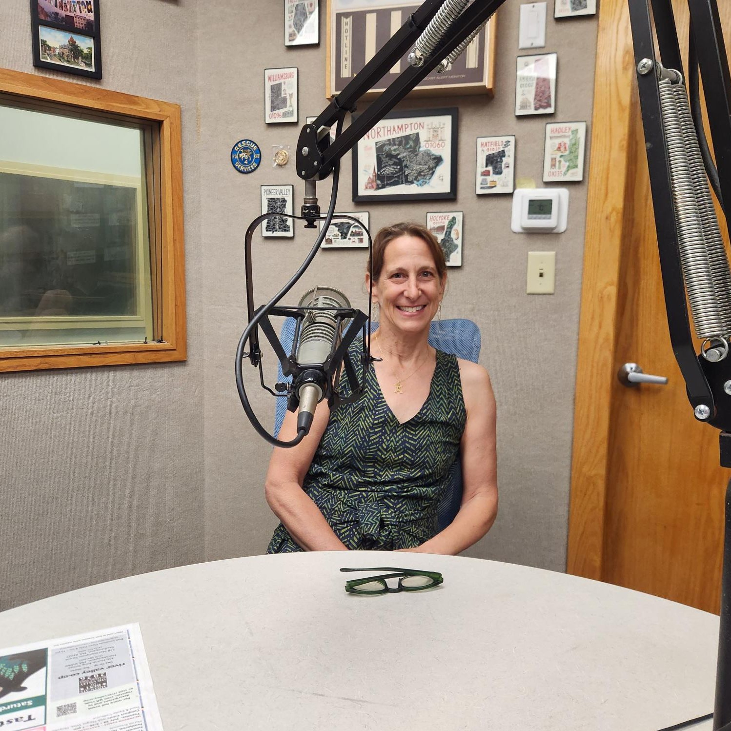 Carolyn Misch, Northampton Director of Planning & Sustainability: Picture Main Street Project episode artwork