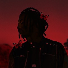 Playboi Carti - Chopsticks