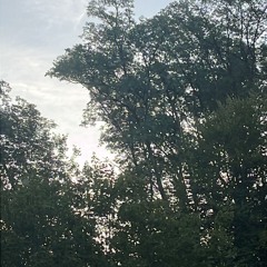 PaterBrauhn- Zicke ( written by M.Schultz).mp3