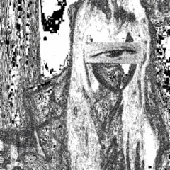 Multeasycrack