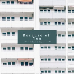 [Remix] Because Of You | 너 때문에 — After School (Cover)