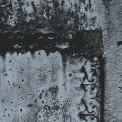 Grant Evans - India Ink Mirror (excerpt)