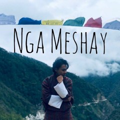 Nga Meshay - Lekjor(official audio).mp3