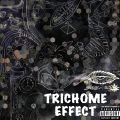 Trichome Effect