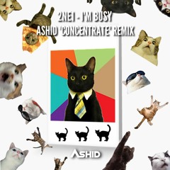 2NE1 - I'm Busy (Ashid 'Concentrate' Remix)