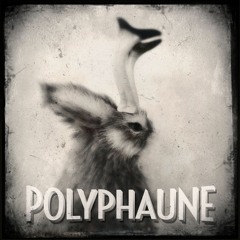 Polyphaunes